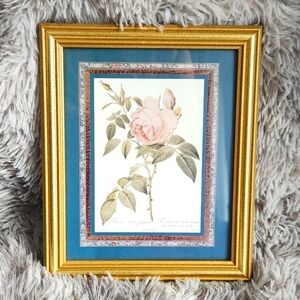 Vintage Rosier Des Indes Pj Redoute Rosa Indica Fragrans Framed